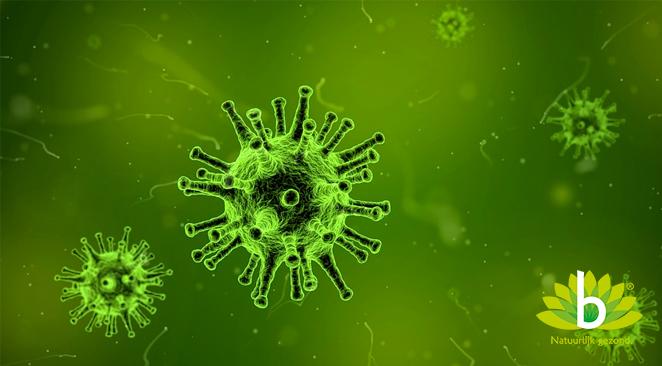 Norovirus: dé veroorzaker van buikgriep