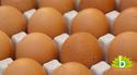 Eieren besmet met Fipronil? Bij ons niet!